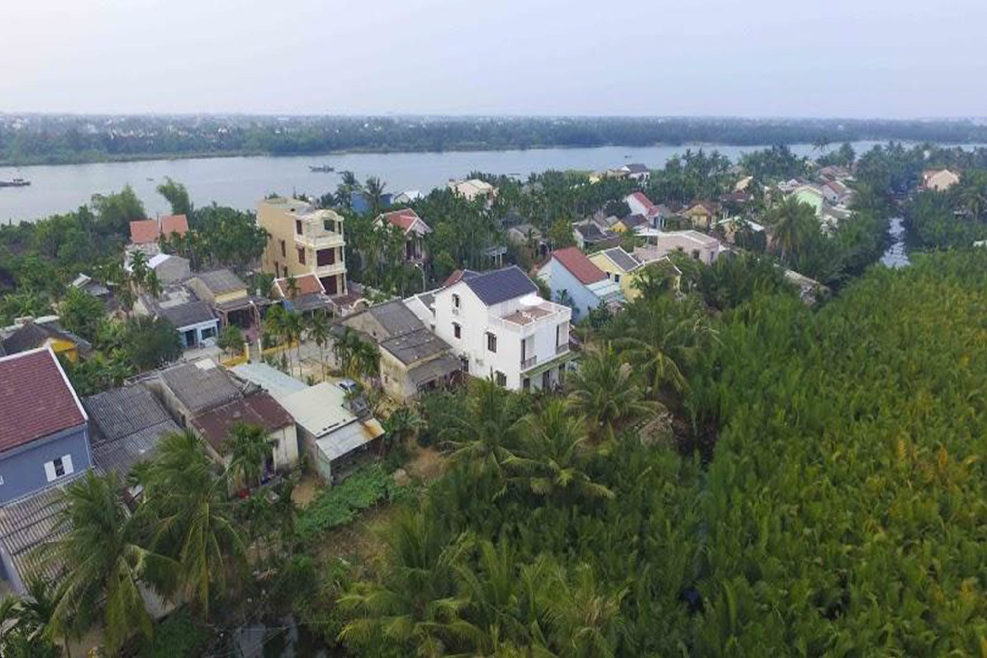 Coconut Garden Homestay Hội An Kültér fotó