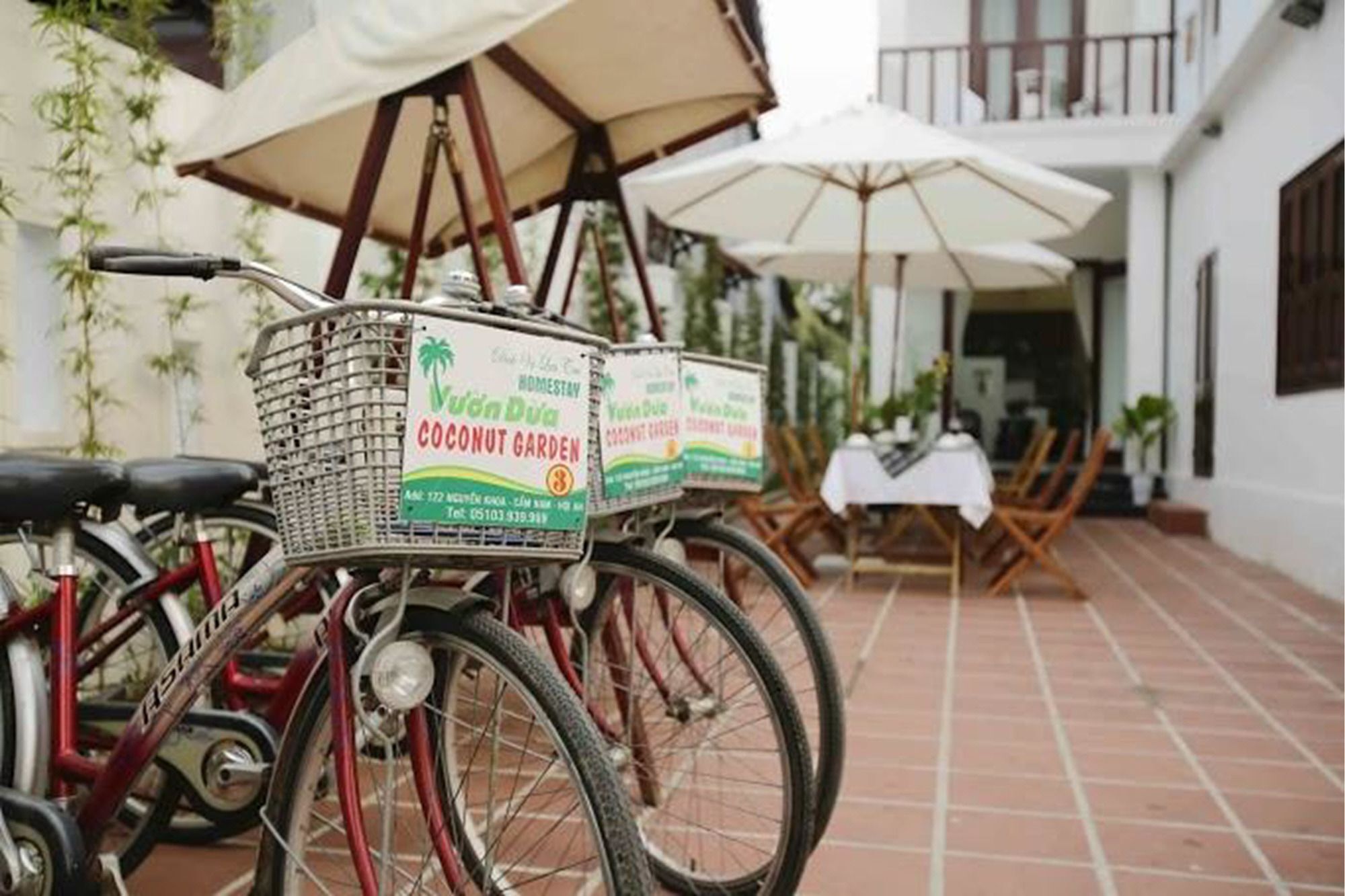 Coconut Garden Homestay Hội An Kültér fotó